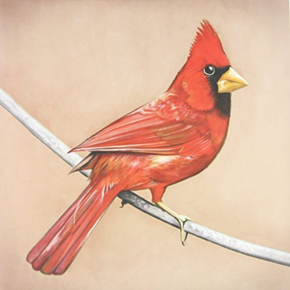 Alexisonfire - Old Crows / Young Cardinals - [Vinyl]