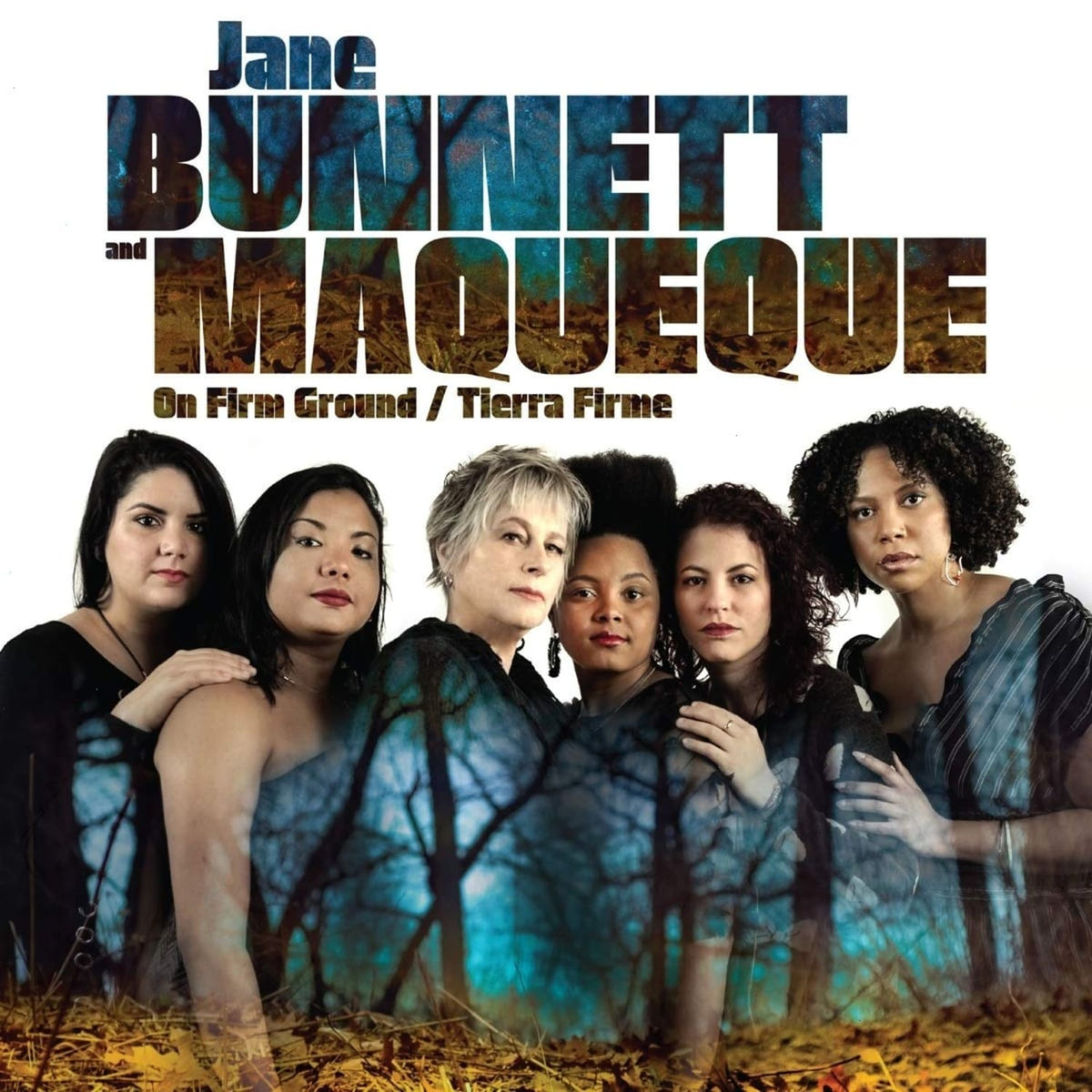 Jane Bunnett - On Firm Ground / Tierra Firme - [Vinyl]