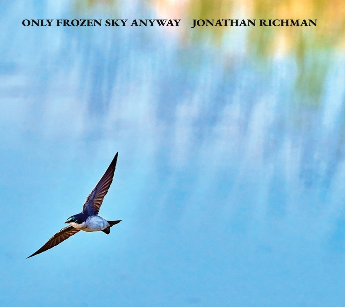Jonathan Richman - Only Frozen Sky Anyway - [CD]