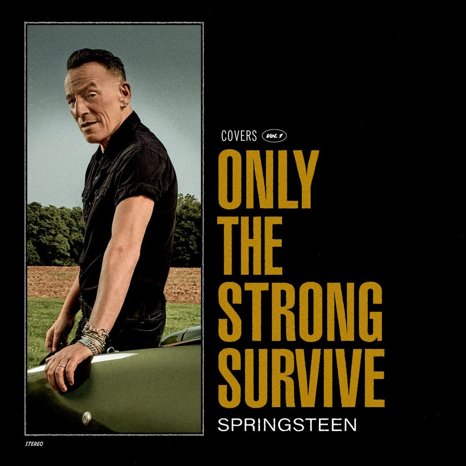Bruce Springsteen - Only The Strong Survive - (140 Gram Vinyl, Gatefold LP Jacket, Poster, Etched) - [Vinyl]