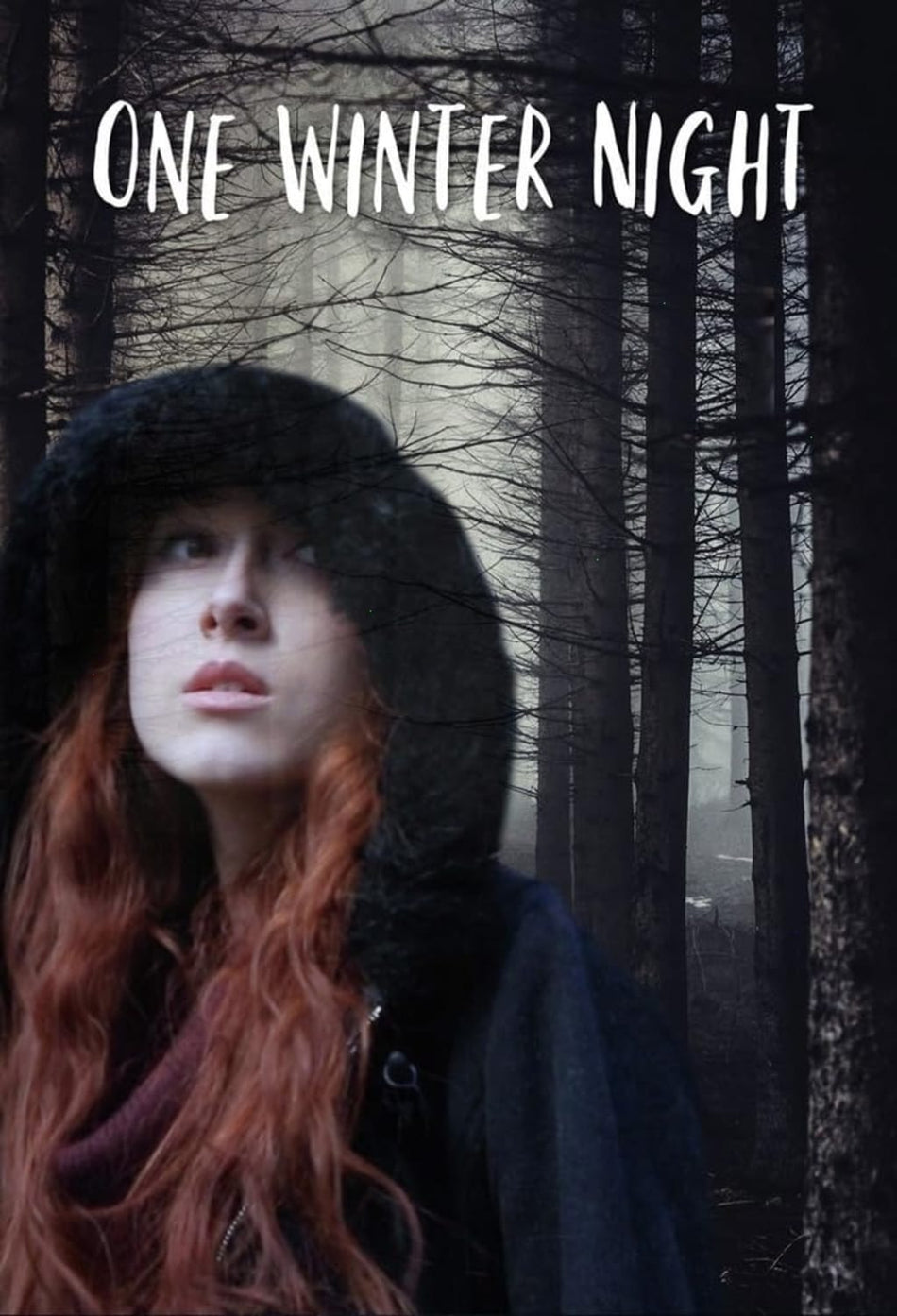 One Winter Night - [DVD]