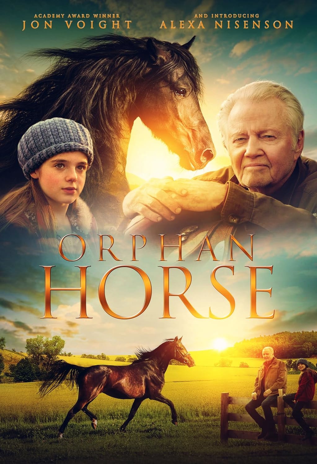 Orphan Horse - (Dolby, AC-3) - [DVD]