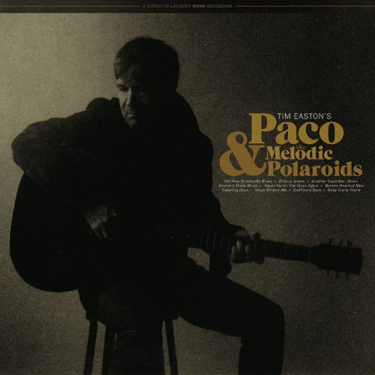 Tim Easton - Paco & Melodic Polaroids - [Vinyl]