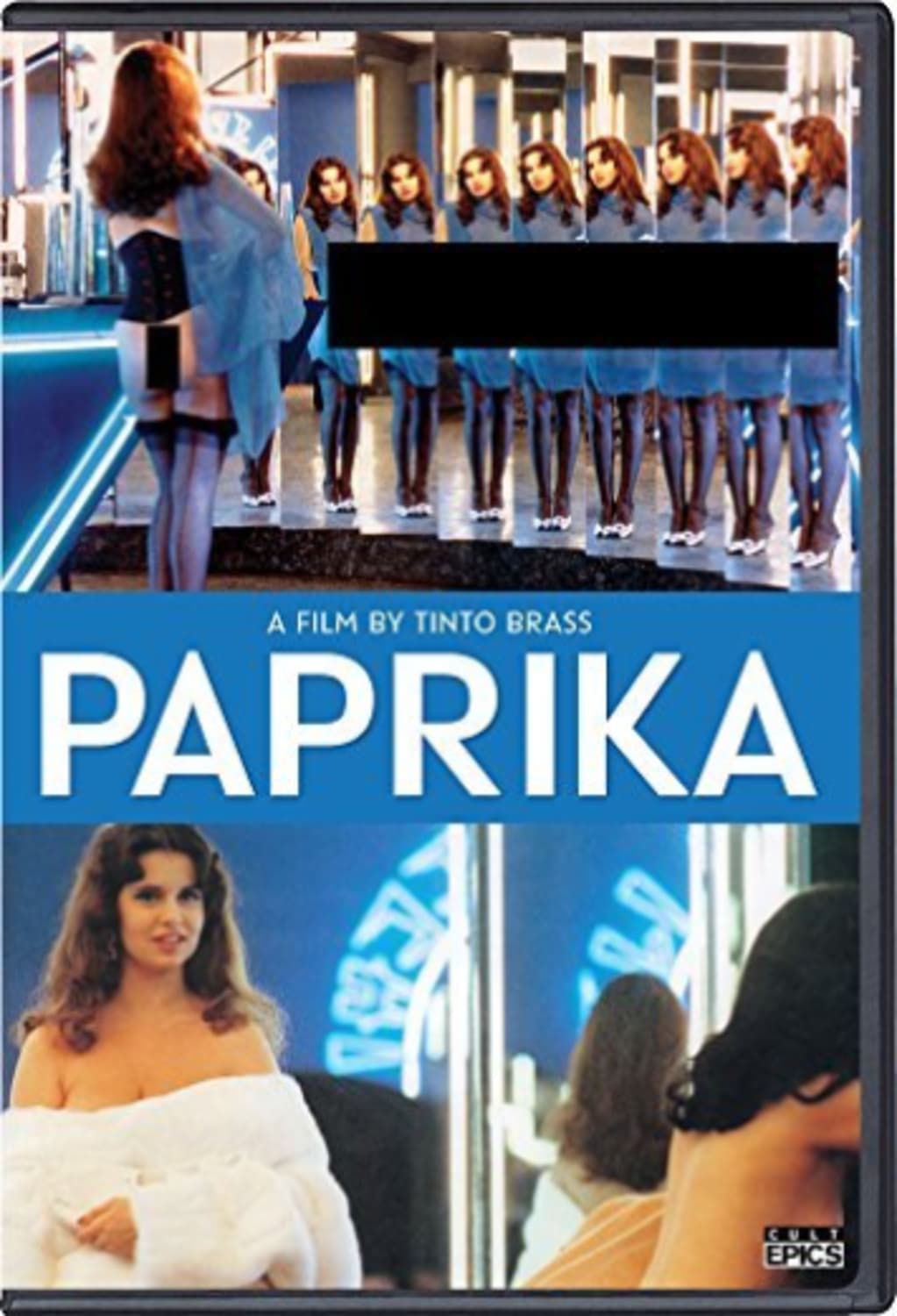 Paprika - (Subtitled, Dolby, Widescreen) - [DVD]