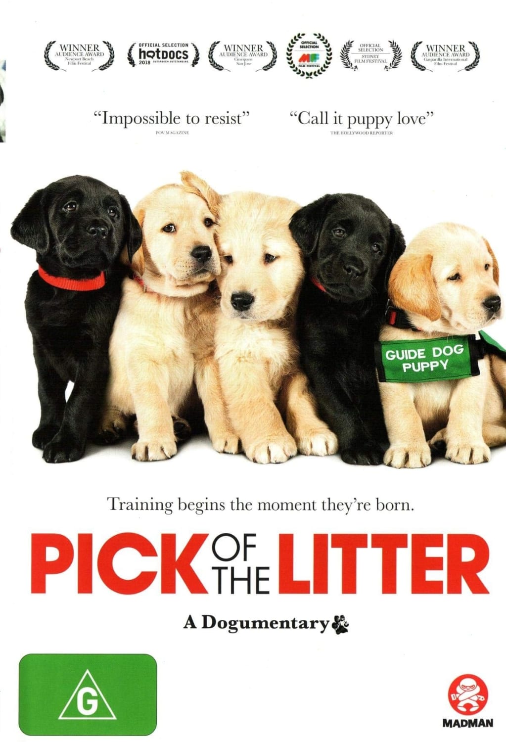 Pick Of The Litter: A Dogumentary - [PAL Video]