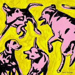 Paul Jacobs - Pink Dogs On The Green Grass - [Vinyl]