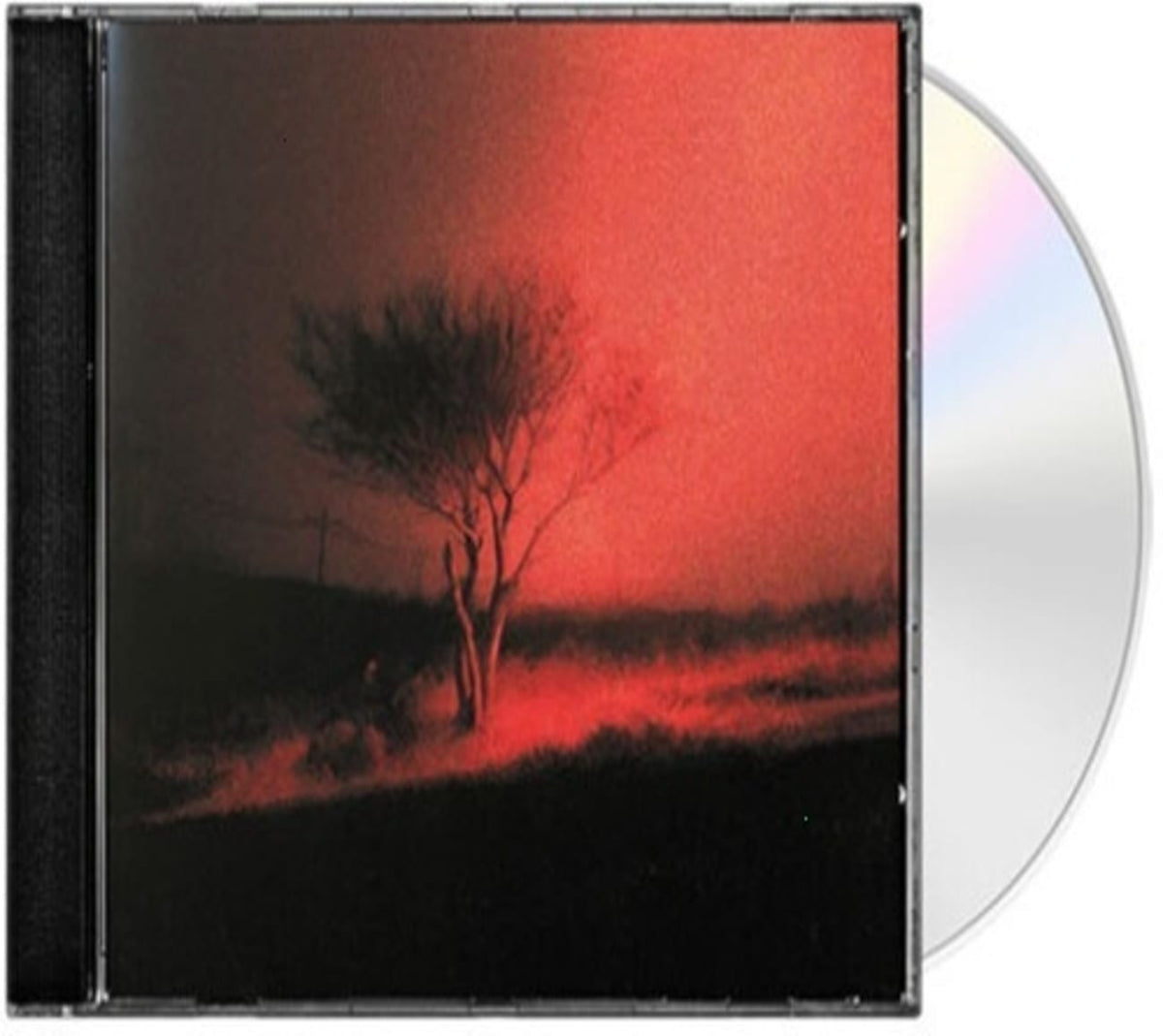 Joji - Piss In The Wind [Explicit Content] - (Parental Advisory Explicit Lyrics) - [CD]