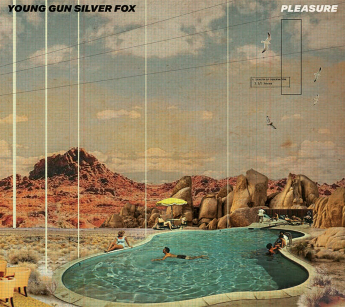 Young Gun Silver Fox - Pleasure - [CD]