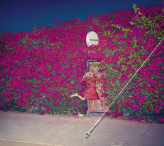Feist - Pleasure [Import] - [CD]