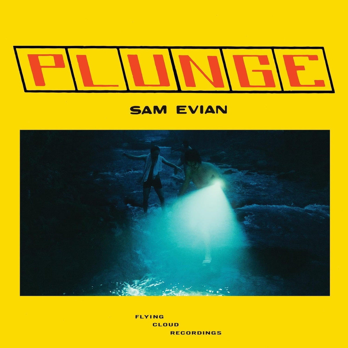 Sam Evian - Plunge - [Vinyl]