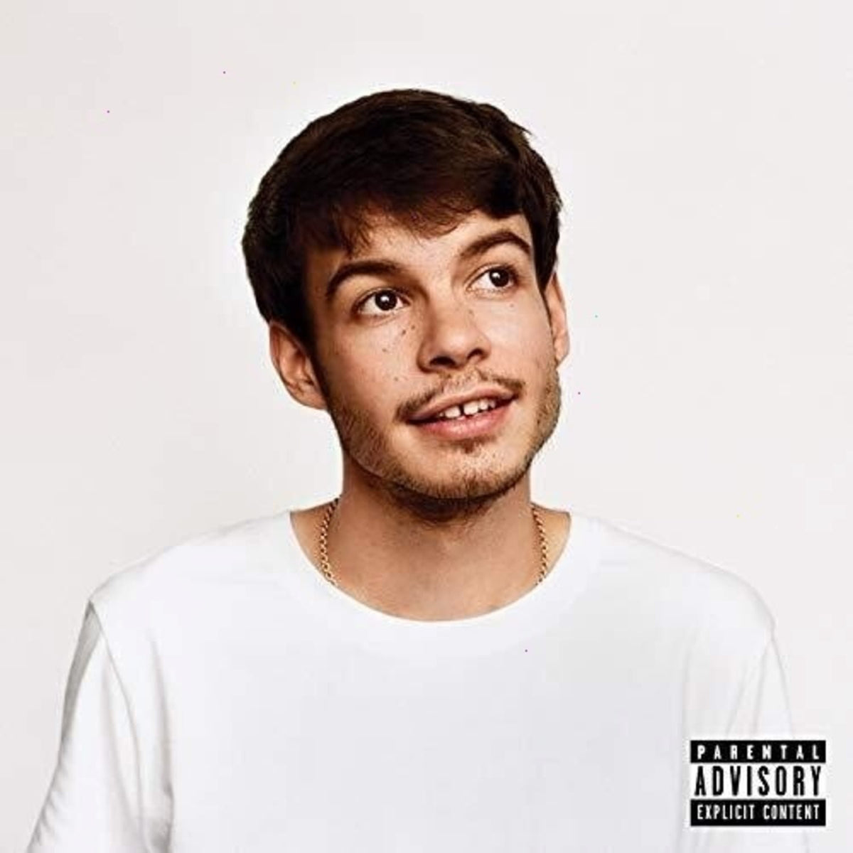 Rex Orange County - Pony [Explicit Content] - (Parental Advisory Explicit Lyrics, 140 Gram Vinyl) - [Vinyl]