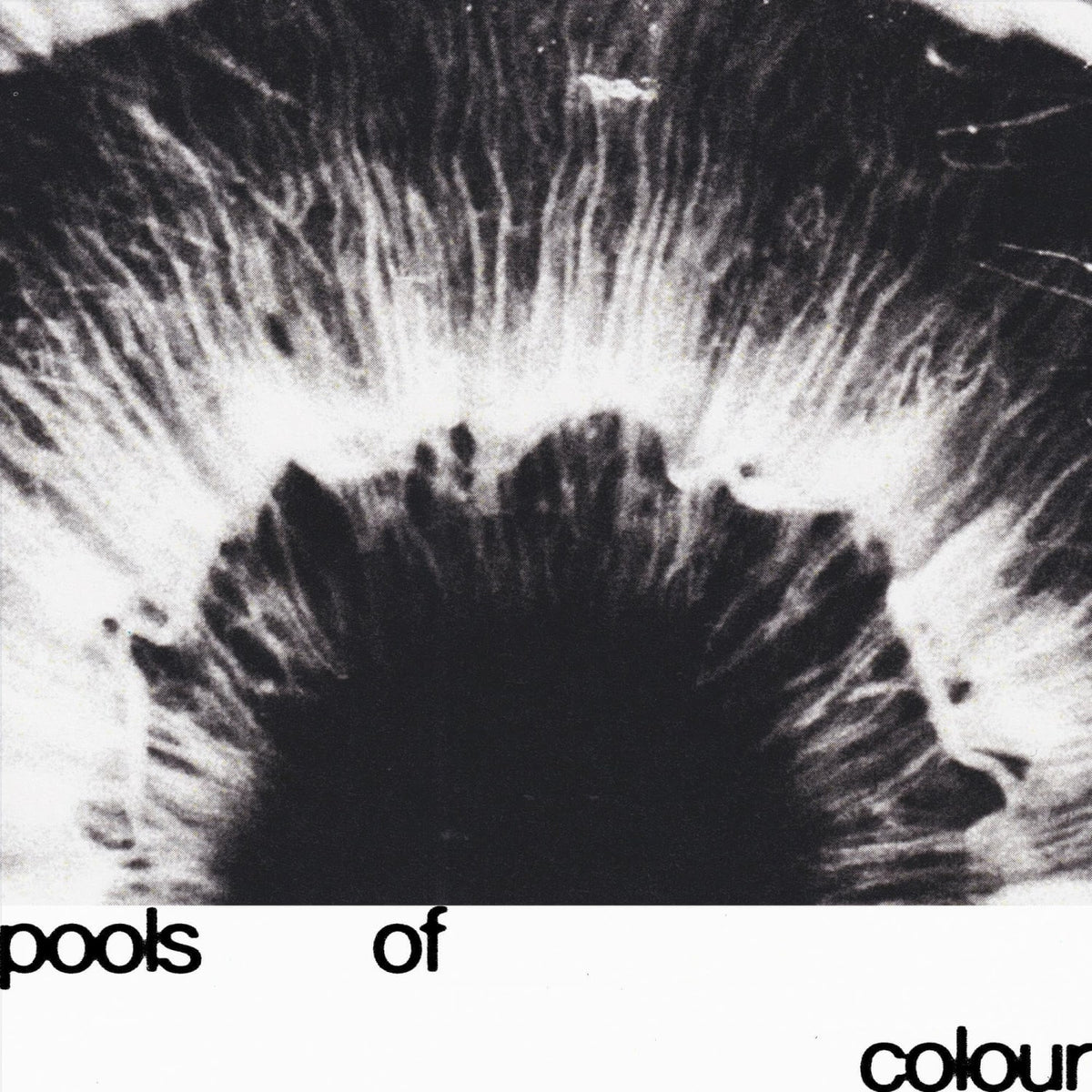 Junodream - Pools Of Colour - (Clear Vinyl) - [Vinyl]