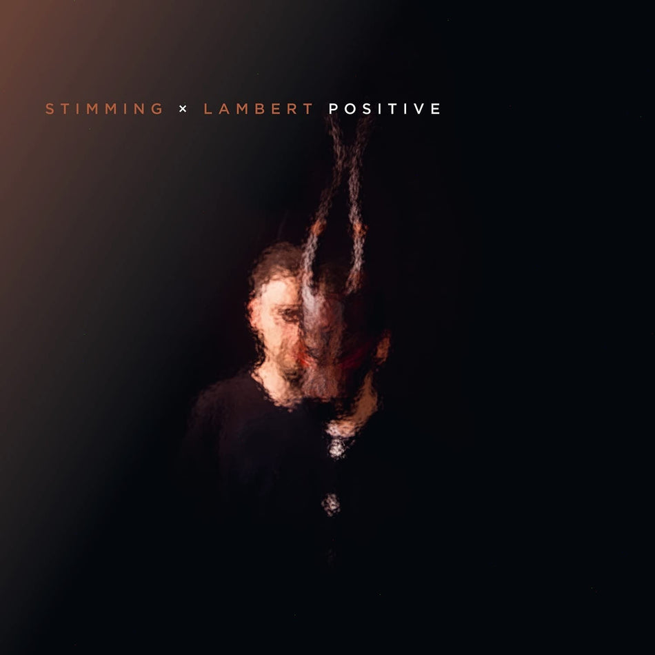 STIMMING / LAMBERT - Positive - [Vinyl]