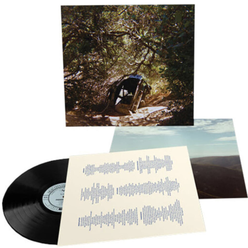 Ty Segall - Possession - [Vinyl]