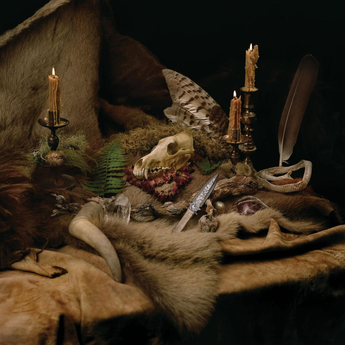Wolves in the Throne Room - Primordial Arcana - [Vinyl]