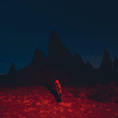 Phoebe Bridgers - Punisher - [Vinyl]