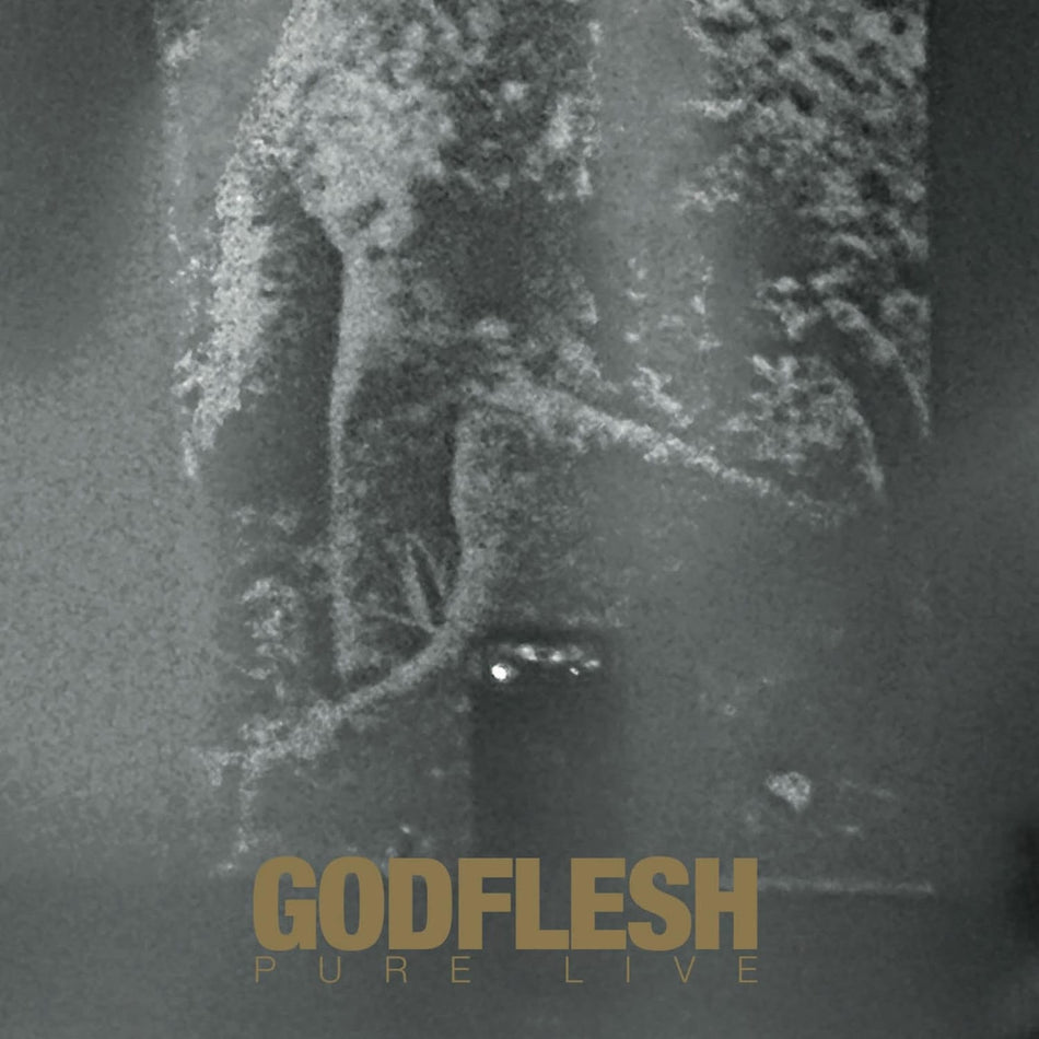Godflesh - Pure Live - [Vinyl]