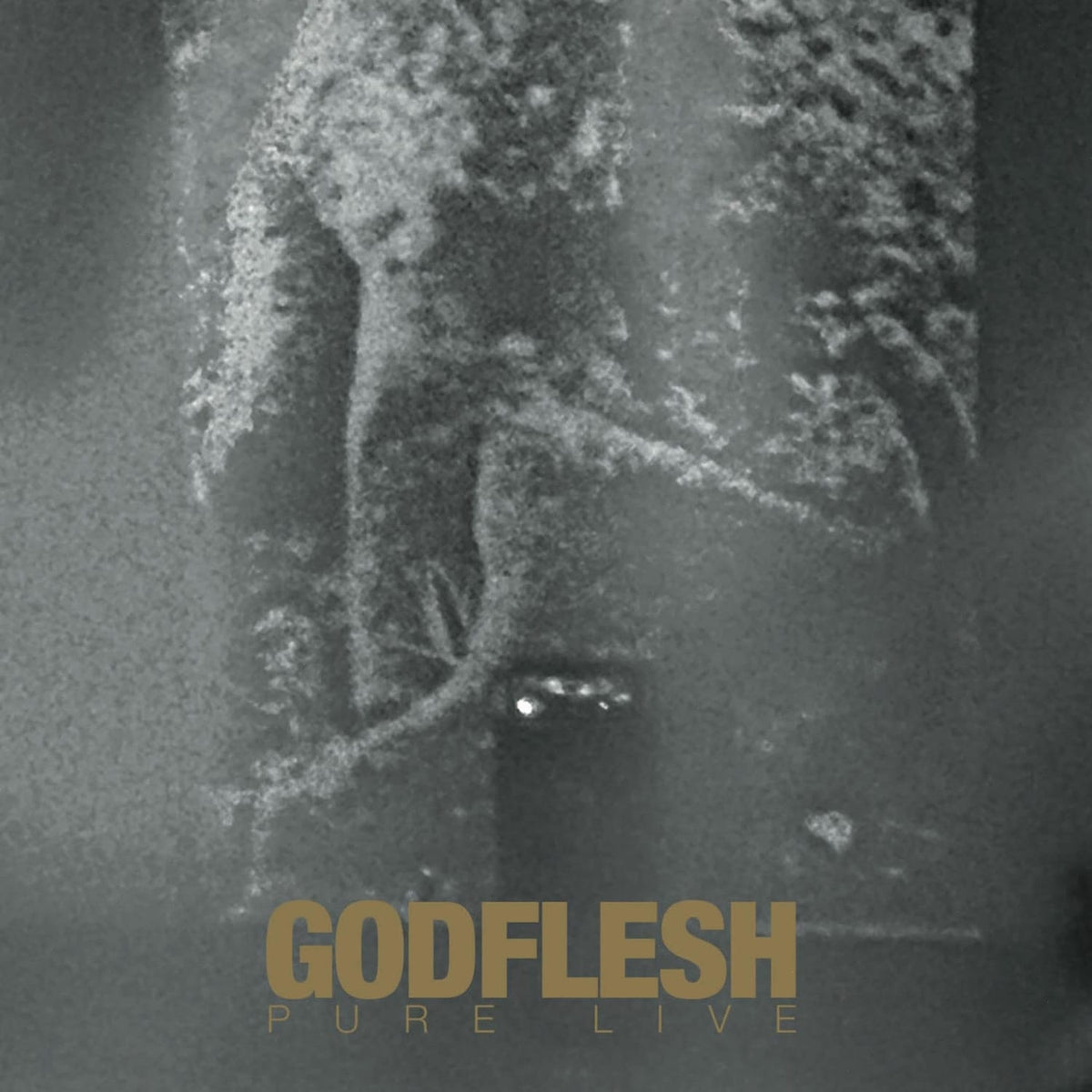 Godflesh - Pure Live - [Vinyl]
