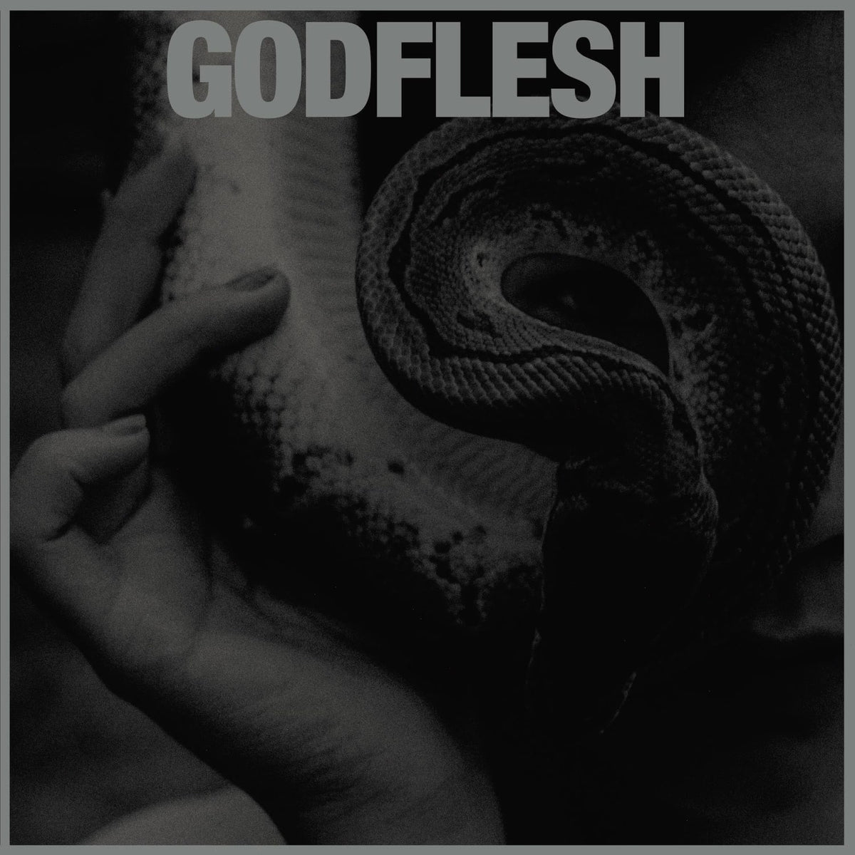 Godflesh - Purge - [Vinyl]