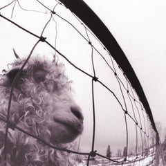 Pearl Jam - PEARL JAM / VS - (180 Gram ) - [Vinyl]