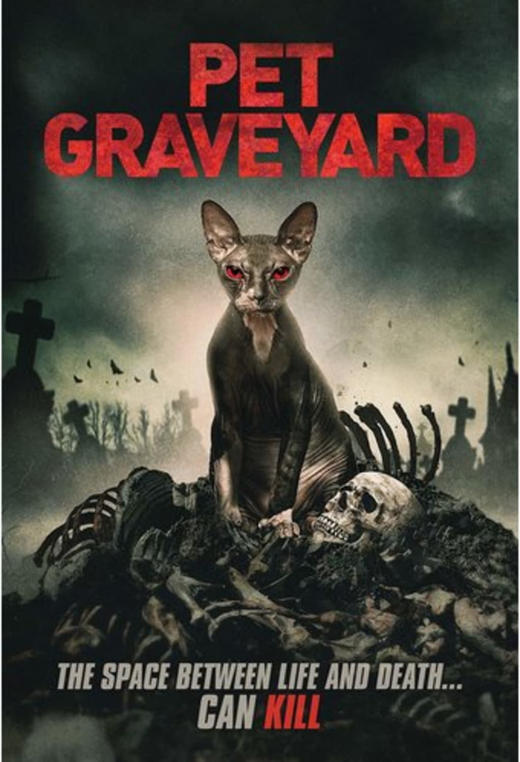 Pet Graveyard - [DVD]