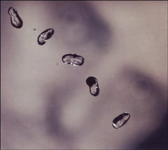 Peter Gabriel - Up - (Remastered, Digipack Packaging, Reissue) - [CD]