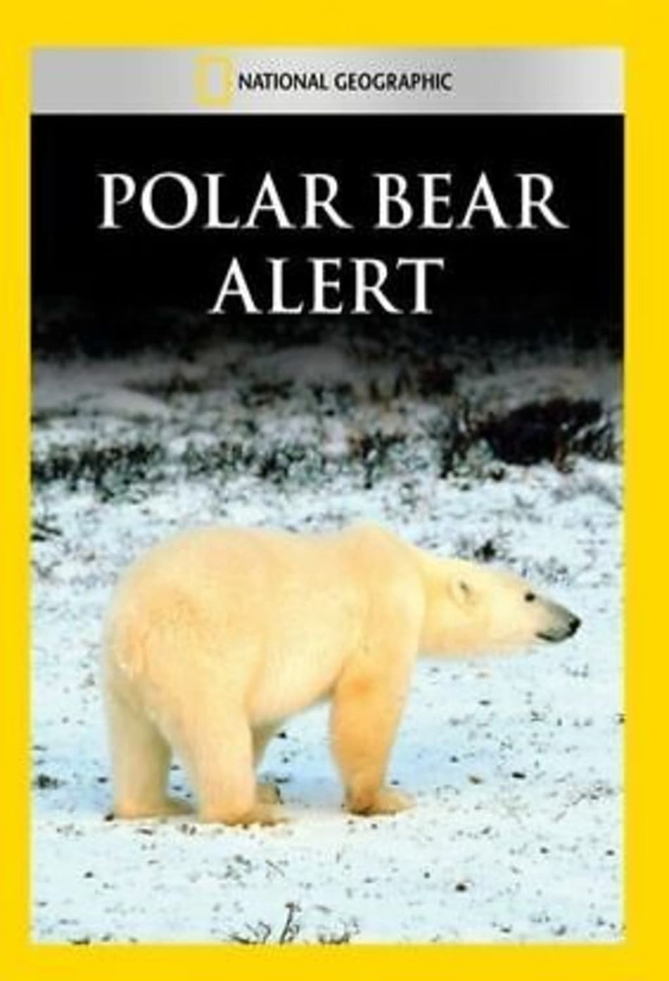 Polar Bear Alert - (NTSC Format) - [DVD]