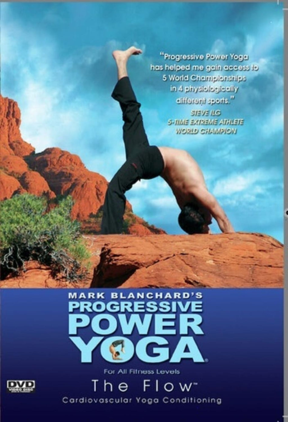 Progressive Power Yoga: Flow - [DVD]