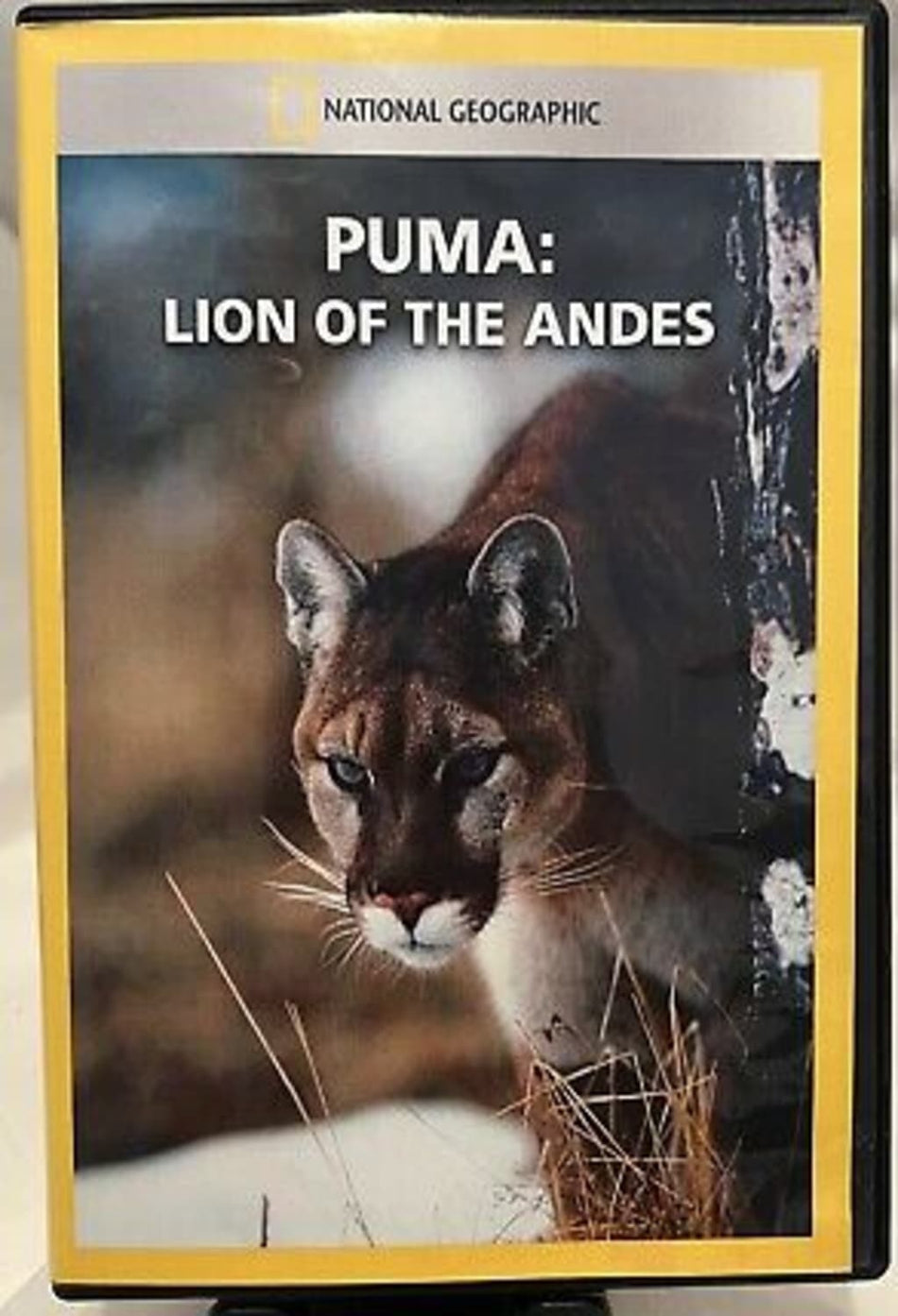 Puma: Lion of the Andes - (NTSC Format) - [DVD]