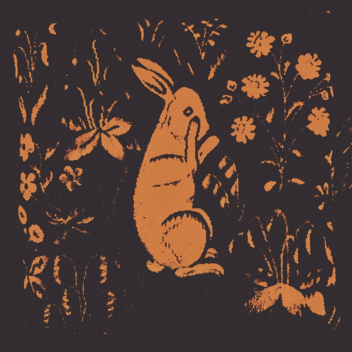 Sadness - Rabbit Album - [Vinyl]