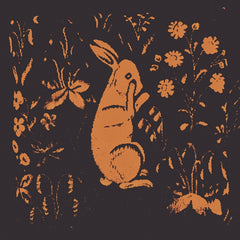 Sadness - Rabbit Album - [Vinyl]