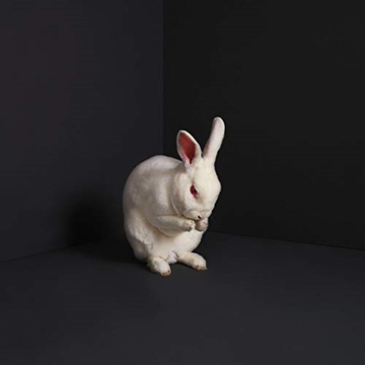 Brume - Rabbits - [Vinyl]