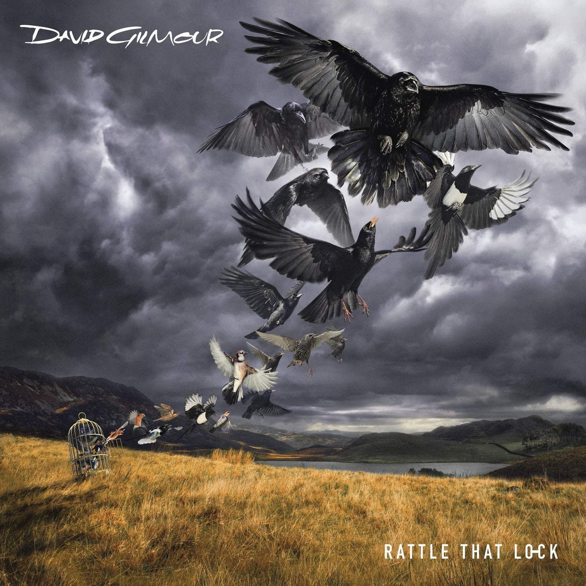 David Gilmour - Rattle That Lock - (Gatefold LP Jacket) - [Vinyl]