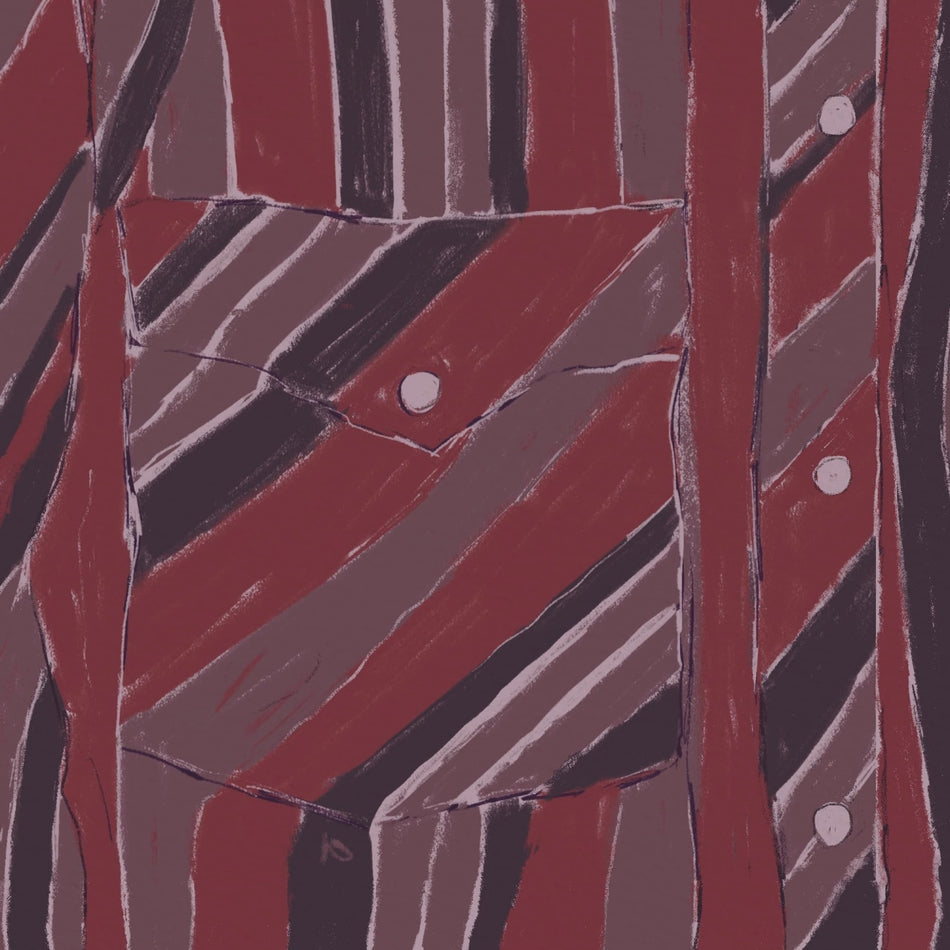 Jake Xerxes Fussell - Rebuilding - [Vinyl]