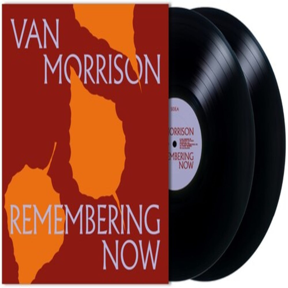 Van Morrison - Remembering Now - [Vinyl]
