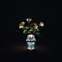 Billy Strings - Renewal - (180 Gram Vinyl) - [Vinyl]