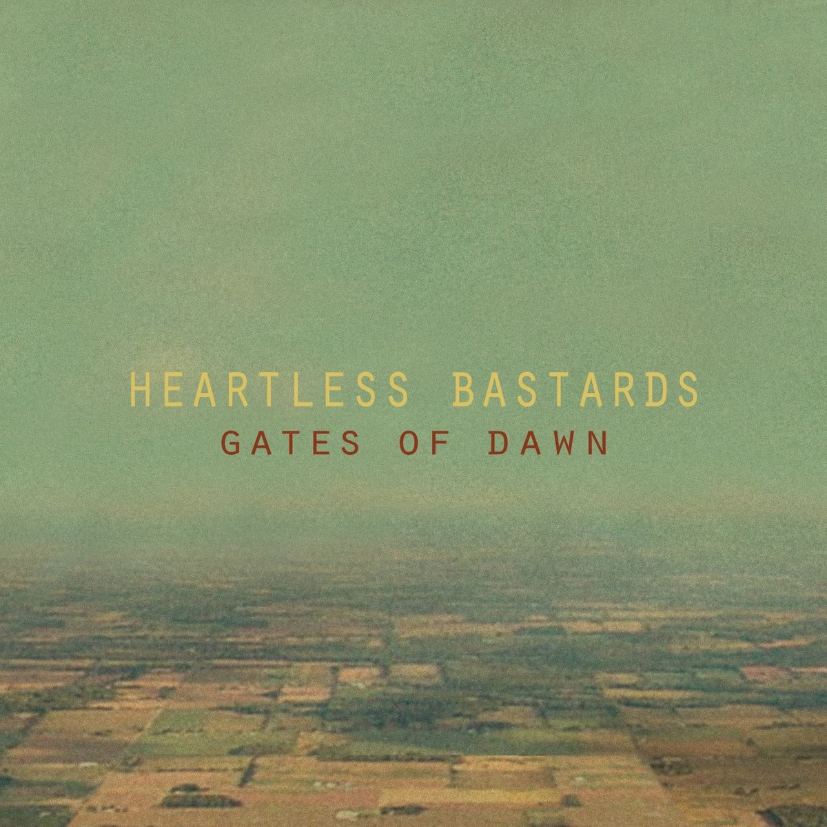 Heartless Bastards - Restless Ones - (Digital Download Card) - [Vinyl]