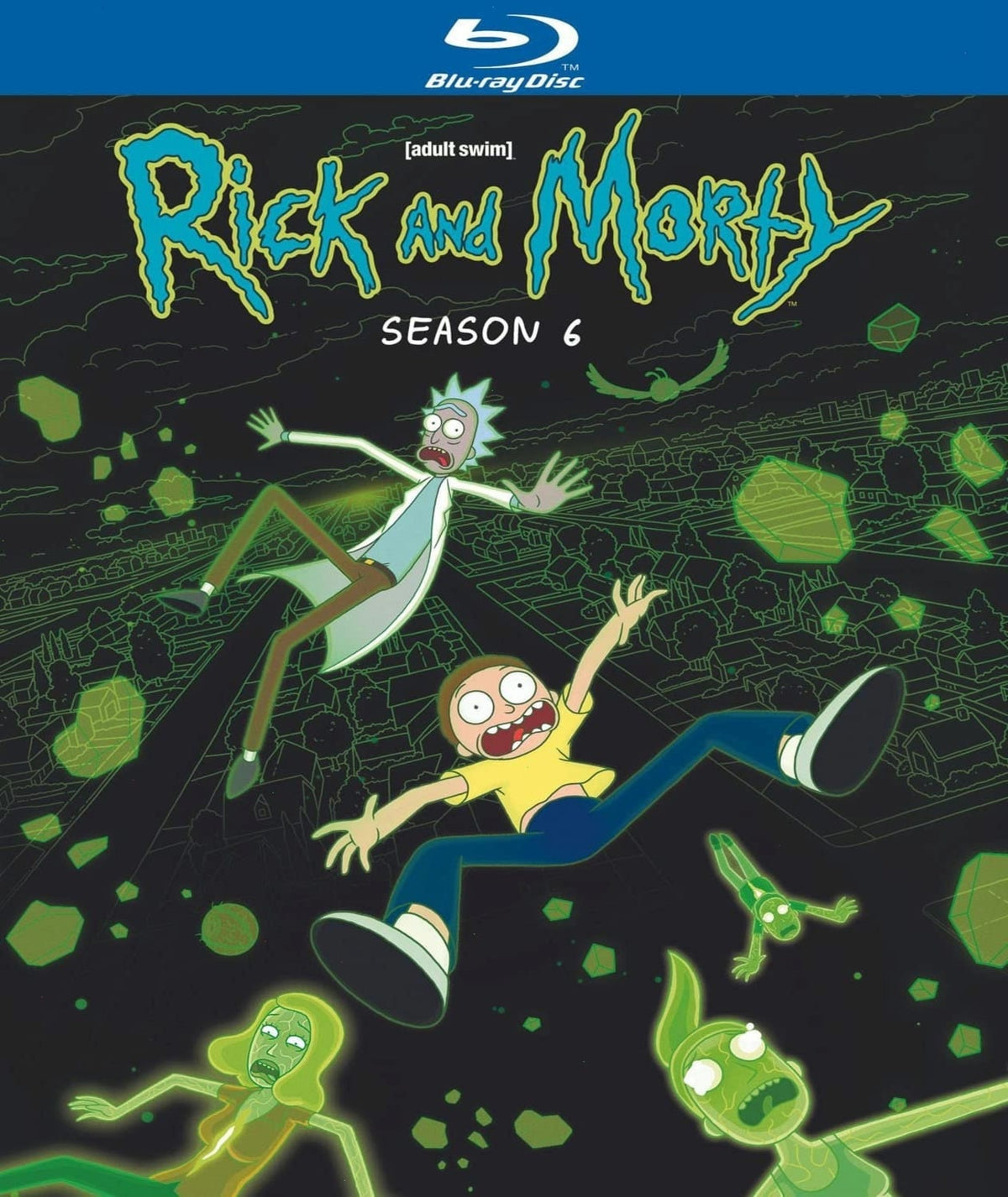 Rick and Morty: Season 6 - (Slipsleeve/Digsleeve Packaging) - [Blu-ray]