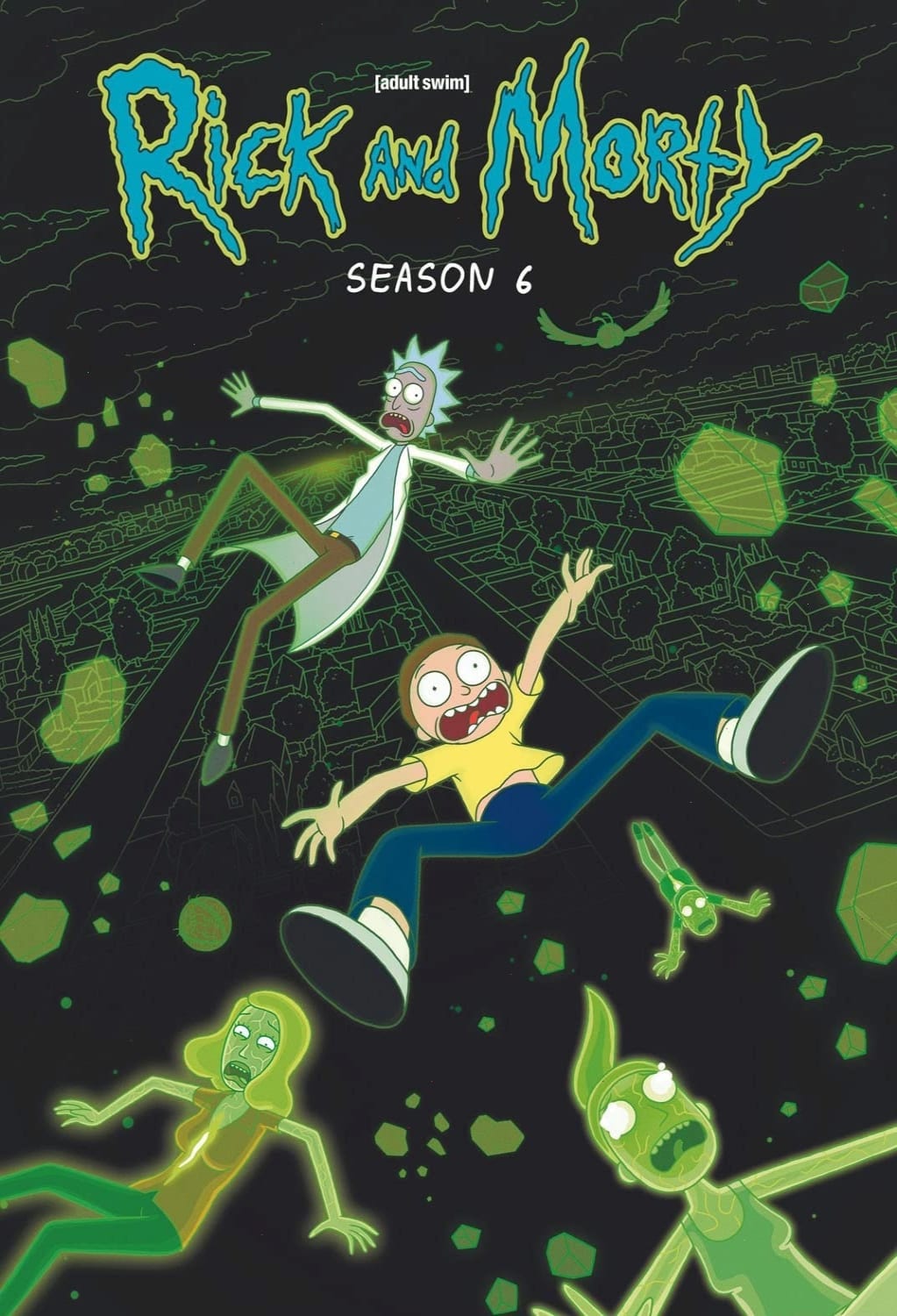Rick and Morty: Season 6 - (Slipsleeve/Digsleeve Packaging) - [DVD]