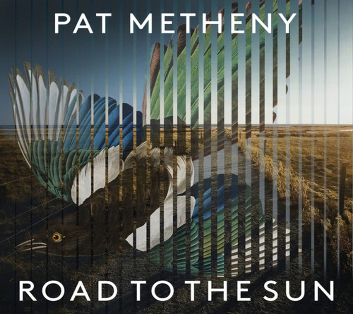 Pat Metheny - Road To The Sun - [CD]