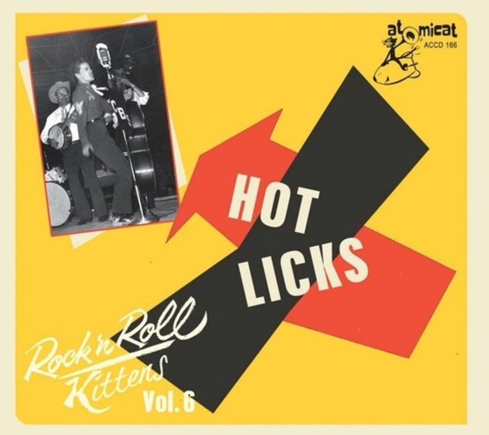 Various - Rock & Roll Kitten Vol 6: Hot Licks - [CD]