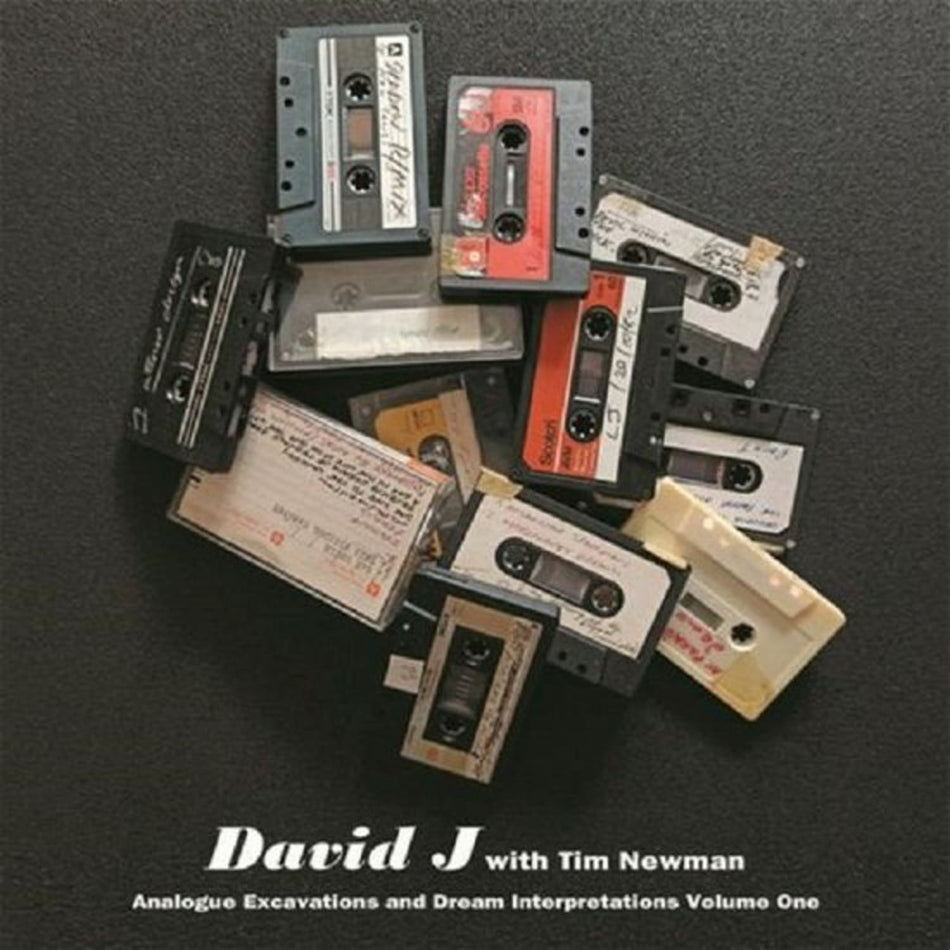 DAVID J / TIM NEWMAN - Analogue Excavations & Dream Interpretations Vol. 1 - Tangerine Colored - [Vinyl]