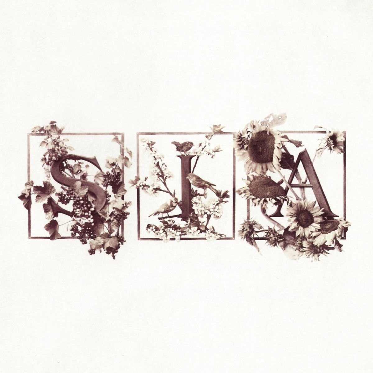 Sia - Colour the Small One - [Vinyl]