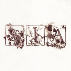 Sia - Colour the Small One - [Vinyl]