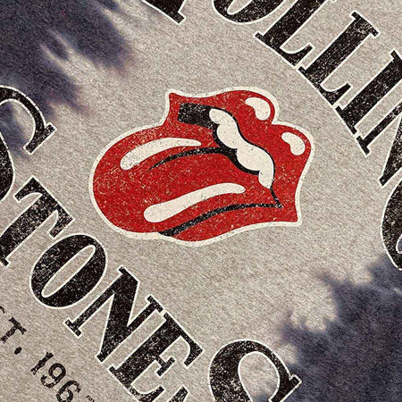 The Rolling Stones Unisex T-Shirt: Satisfaction (Grey) (Wash Collection)