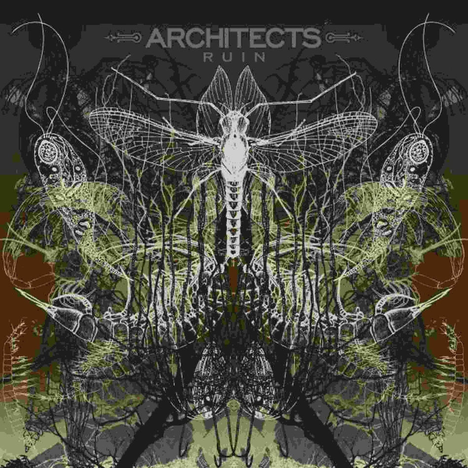 Architects - Ruin - [Vinyl]