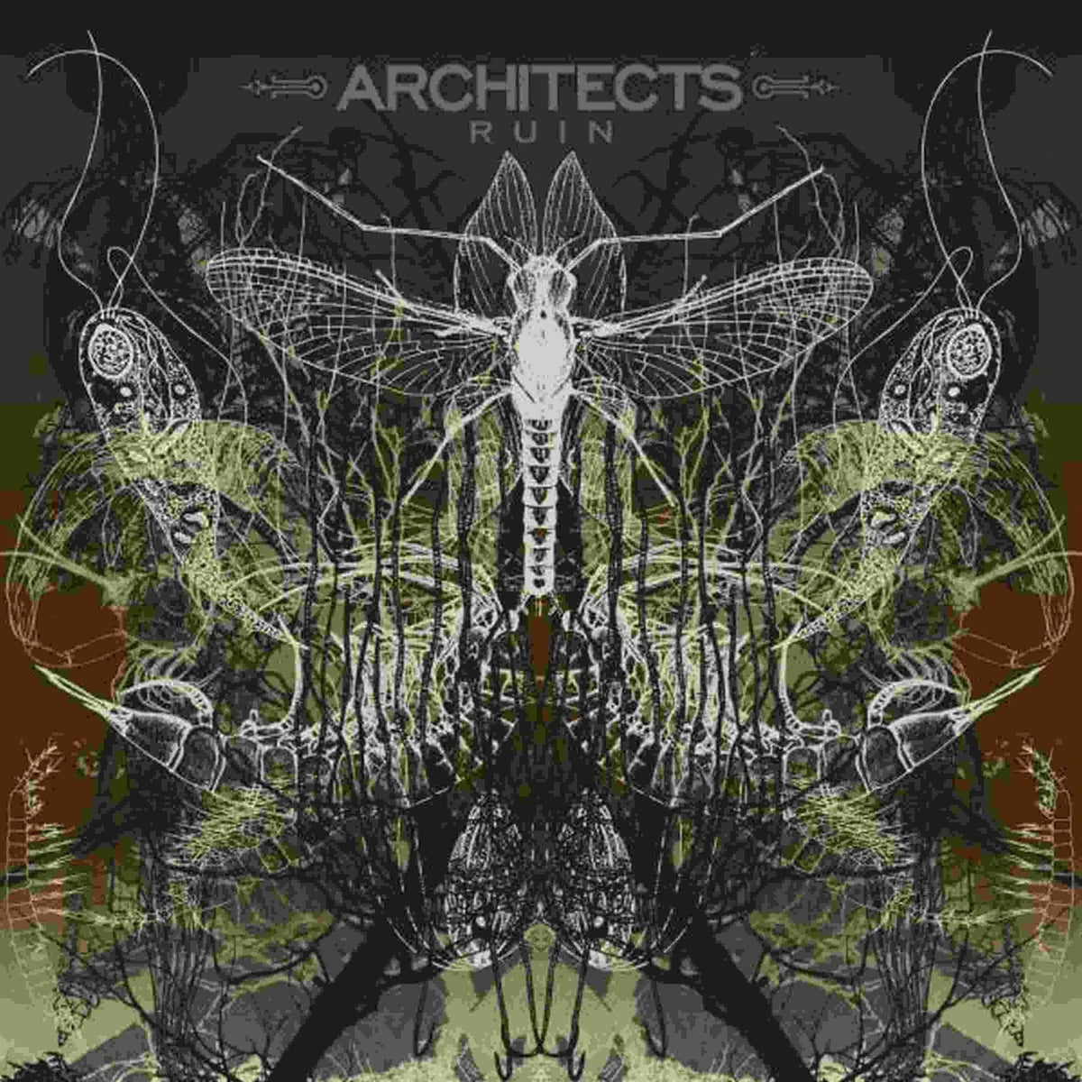 Architects - Ruin - [Vinyl]