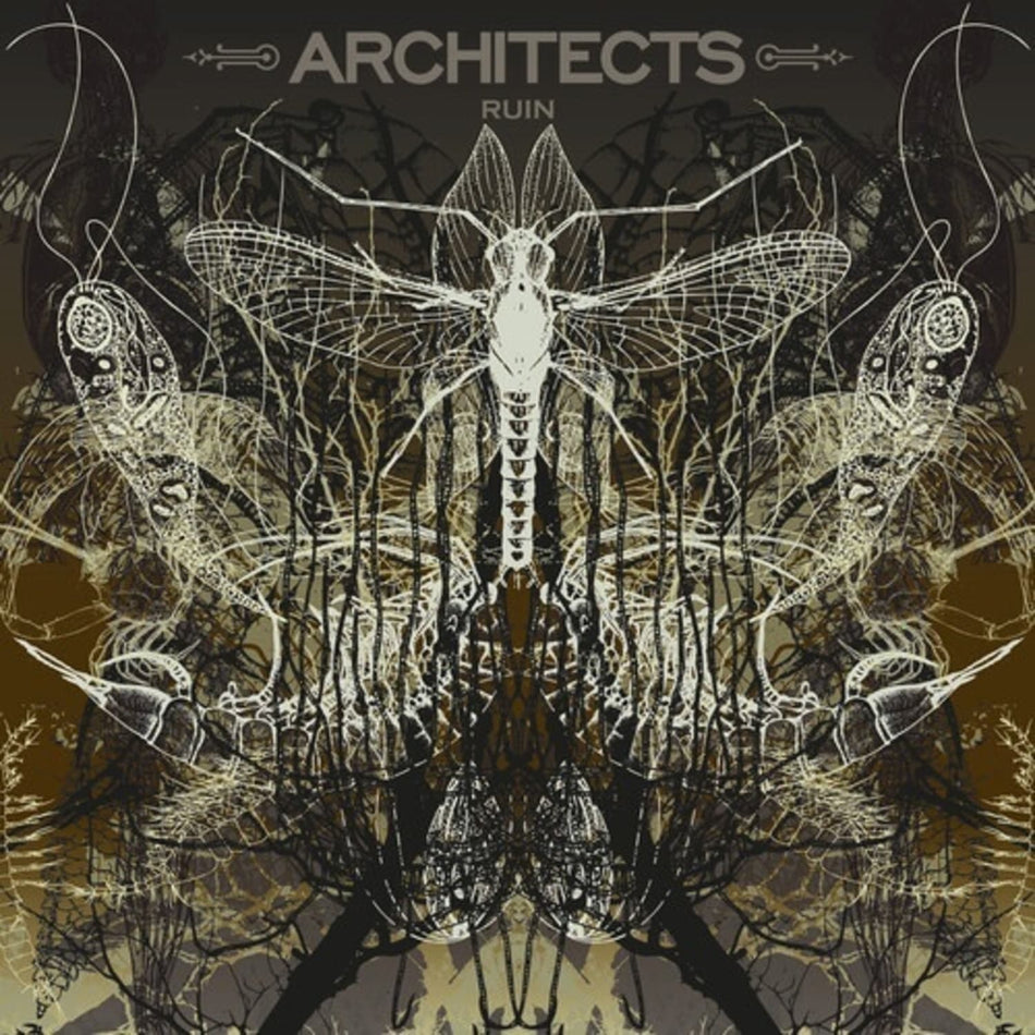 Architects - Ruin - (Limited Edition, Picture Disc ) - [Vinyl]
