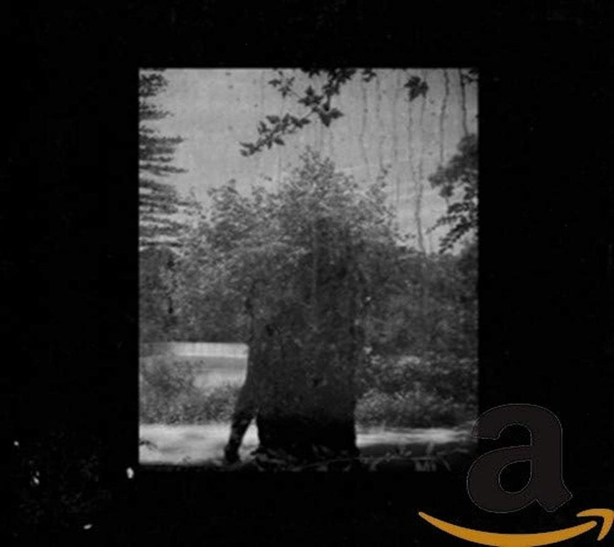 Grouper - Ruins - [CD]