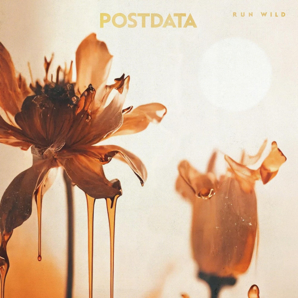 Postdata - RUN WILD - [Vinyl]